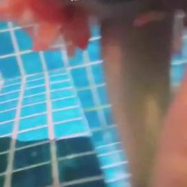 Jeenzen – Poolside Suck N Fuck