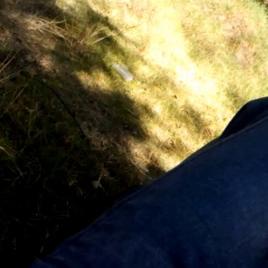 Schoolgirl Enjoys Sucking Dick